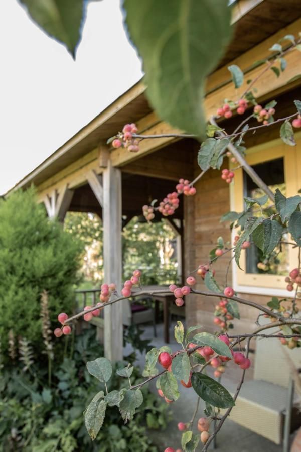 Chalet Ben In Broek Benningbroek Exterior photo